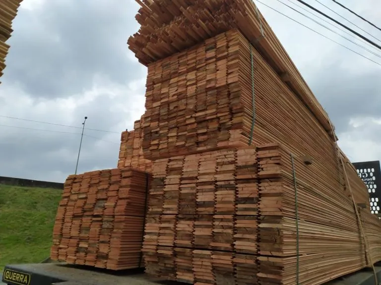 Assoalho de eucalipto